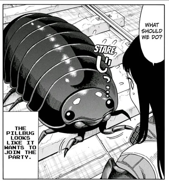The pillbug looks like it wants to join the party.
